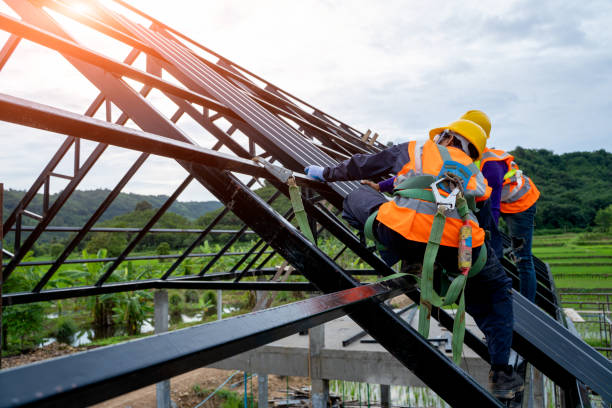 Best Metal Roofing Contractor  in Morrison, IL