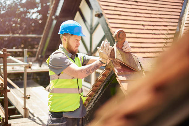 Best Roof Maintenance Services  in Morrison, IL